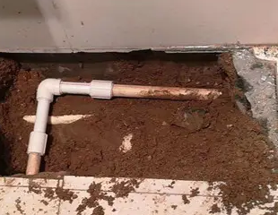 浑南测漏水哪家好