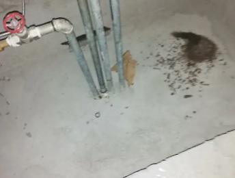 浑南卫生间测漏水价格明细