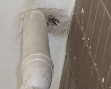 浑南漏水检测哪家好